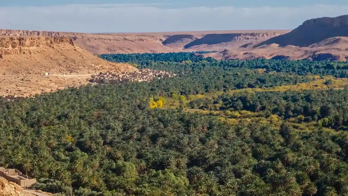 7 Days Morocco Tour from Marrakech to Fes